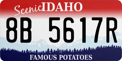 ID license plate 8B5617R