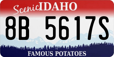 ID license plate 8B5617S