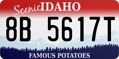 ID license plate 8B5617T