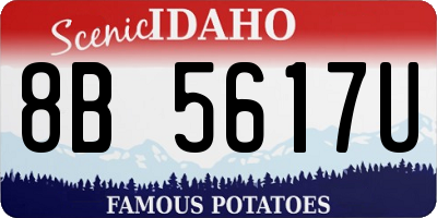 ID license plate 8B5617U