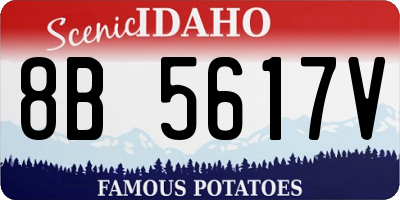 ID license plate 8B5617V
