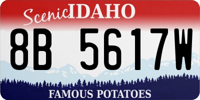 ID license plate 8B5617W