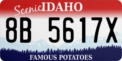 ID license plate 8B5617X