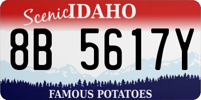 ID license plate 8B5617Y