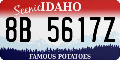 ID license plate 8B5617Z