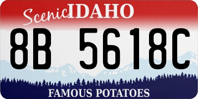 ID license plate 8B5618C