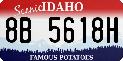 ID license plate 8B5618H