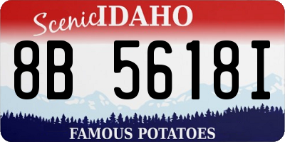 ID license plate 8B5618I
