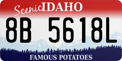 ID license plate 8B5618L