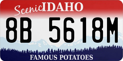 ID license plate 8B5618M