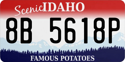 ID license plate 8B5618P