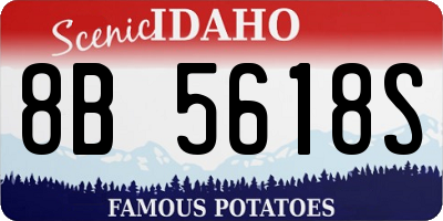ID license plate 8B5618S