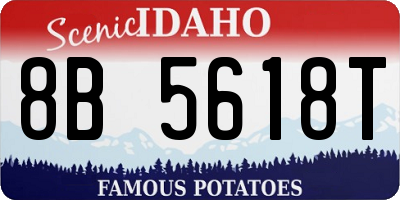 ID license plate 8B5618T