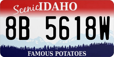 ID license plate 8B5618W
