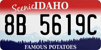 ID license plate 8B5619C
