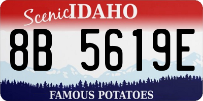 ID license plate 8B5619E