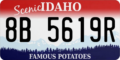 ID license plate 8B5619R