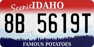 ID license plate 8B5619T