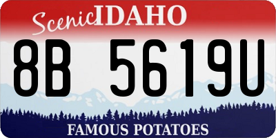 ID license plate 8B5619U