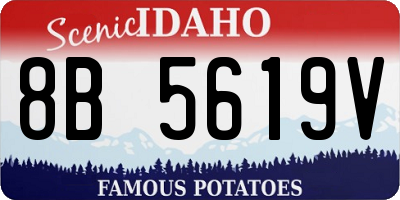 ID license plate 8B5619V