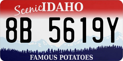 ID license plate 8B5619Y