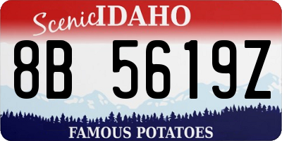ID license plate 8B5619Z
