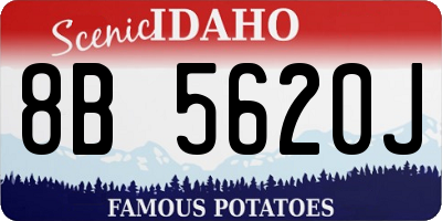 ID license plate 8B5620J