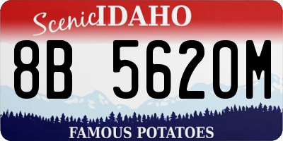 ID license plate 8B5620M
