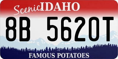 ID license plate 8B5620T