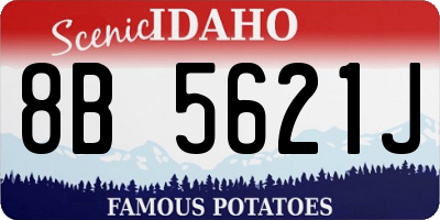 ID license plate 8B5621J