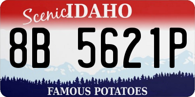 ID license plate 8B5621P