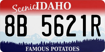ID license plate 8B5621R