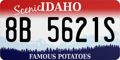 ID license plate 8B5621S