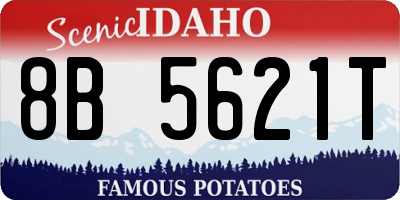 ID license plate 8B5621T
