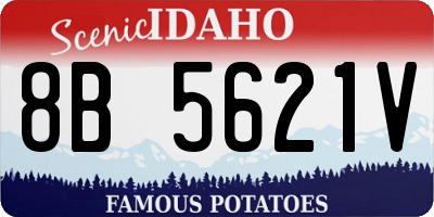 ID license plate 8B5621V