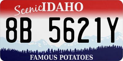 ID license plate 8B5621Y