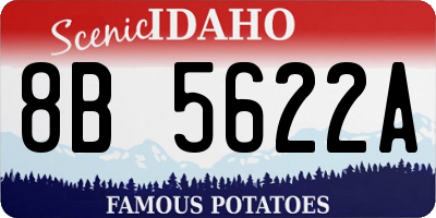 ID license plate 8B5622A