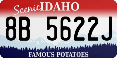 ID license plate 8B5622J