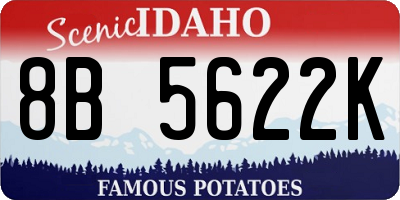ID license plate 8B5622K
