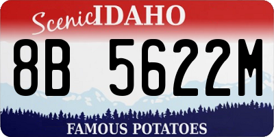 ID license plate 8B5622M