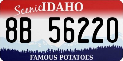 ID license plate 8B5622O