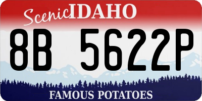 ID license plate 8B5622P
