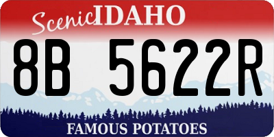 ID license plate 8B5622R