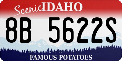 ID license plate 8B5622S