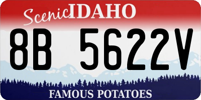 ID license plate 8B5622V