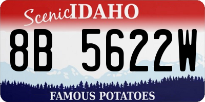 ID license plate 8B5622W