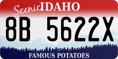 ID license plate 8B5622X