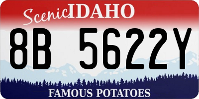 ID license plate 8B5622Y