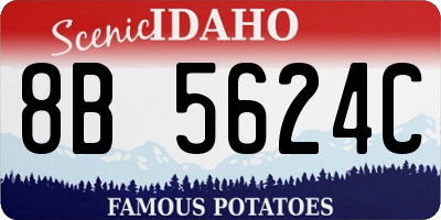 ID license plate 8B5624C