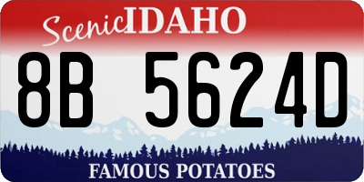 ID license plate 8B5624D
